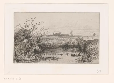 Landschap bij Kalmthout