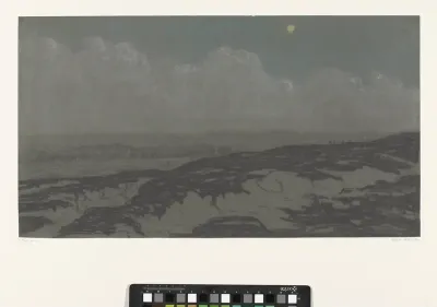 Landschap bij maanlicht