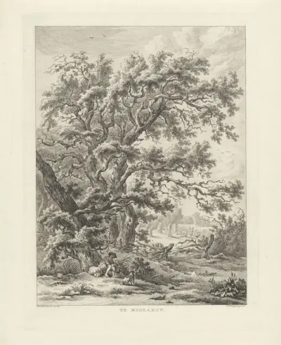 Landschap bij Midlaren