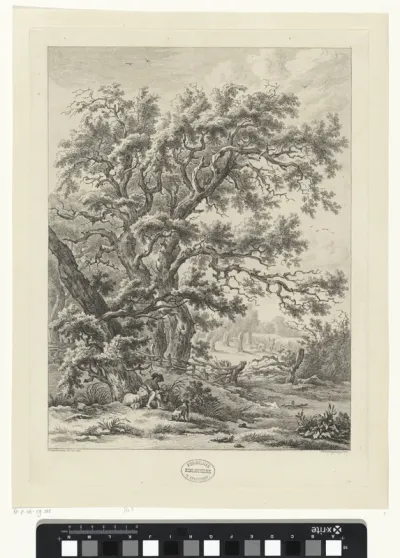 Landschap bij Midlaren