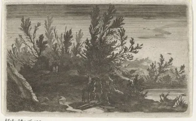 Landschap bij nacht