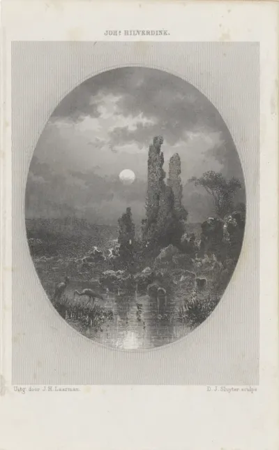Landschap bij nacht met ooievaars
