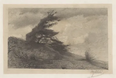 Landschap bij stormachtig weer