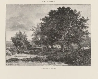 Landschap bij Vorden
