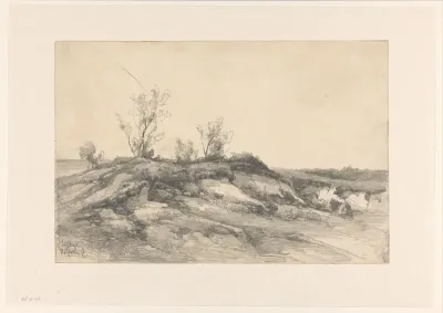 Landschap bij Wolfheze