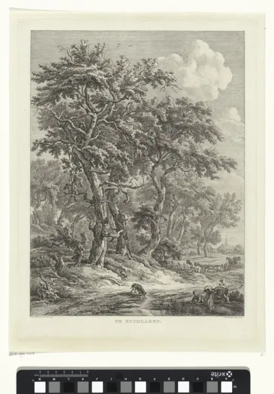 Landschap bij Zuidlaren