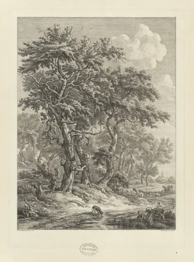 Landschap bij Zuidlaren