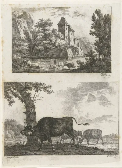 Landschap en stier