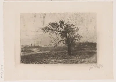 Landschap in de Kempen