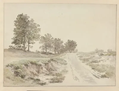 Landschap (in Drente?)