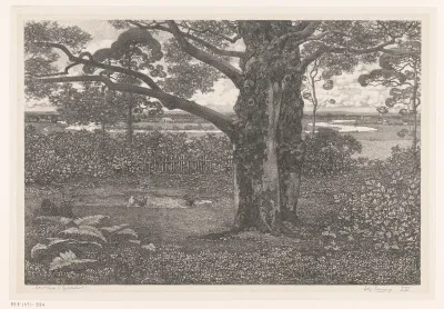 Landschap in Gelderland