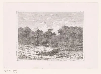 Landschap met bebossing