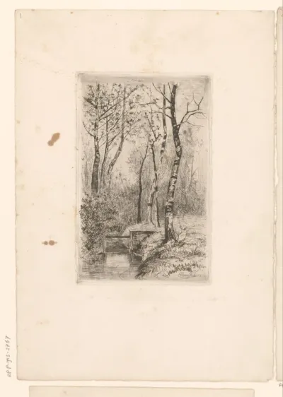 Landschap met beek en berkenbomen