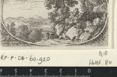 Landschap met begroeide rotsen