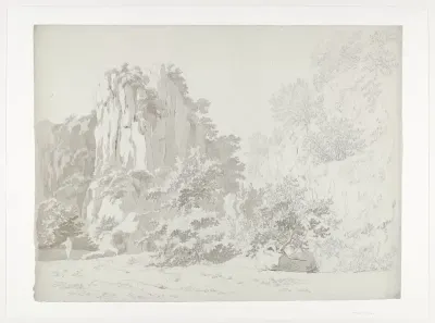 Landschap met begroeide rotsen