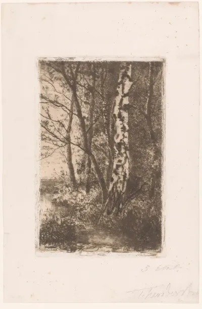 Landschap met berk bij Brasschaat