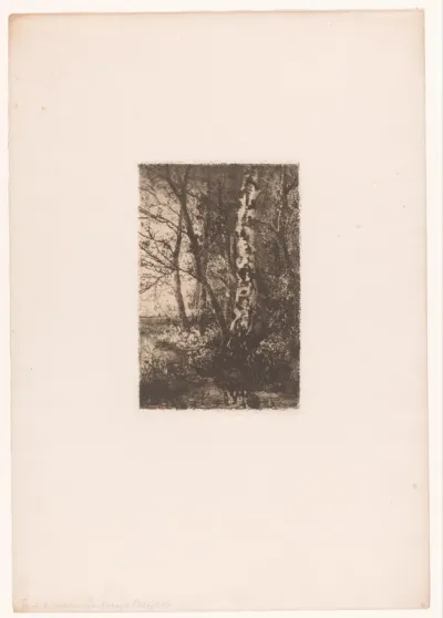 Landschap met berk bij Brasschaat