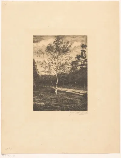 Landschap met berk