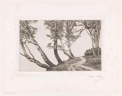 Landschap met berken langs een oever