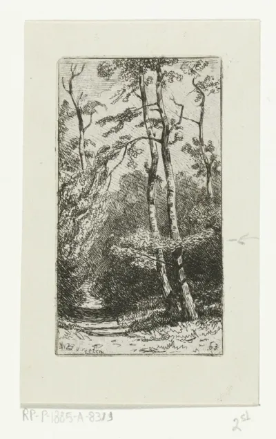 Landschap met berken