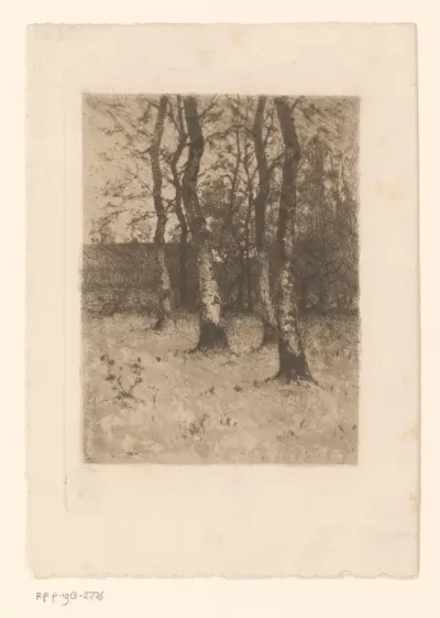 Landschap met berkenbomen en een schuur