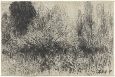 Landschap met bloeiende bomen