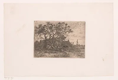 Landschap met boerderijen achter een grote boom