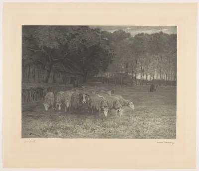 Landschap met boerderijen en schapen