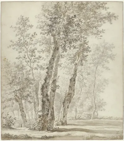 Landschap met bomen