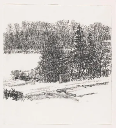 Landschap met bomen