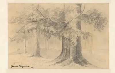 Landschap met bomen
