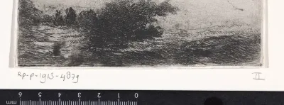 Landschap met bomen