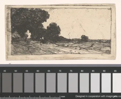 Landschap met bomen