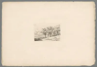 Landschap met bomen