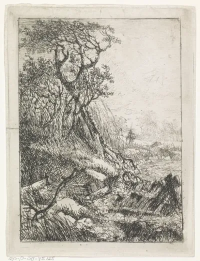 Landschap met bomen