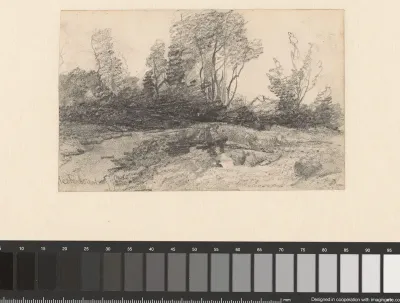 Landschap met bomen