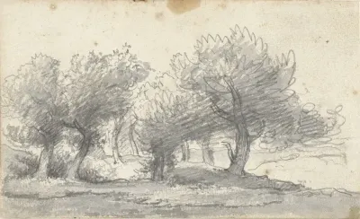 Landschap met bomen