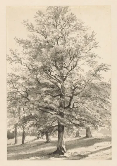 Landschap met bomen