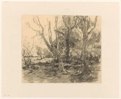 Landschap met bomen