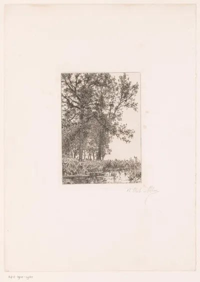 Landschap met bomen aan het water