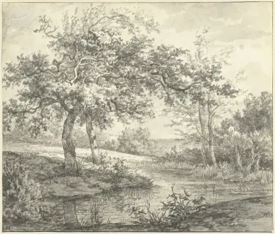 Landschap met bomen aan water