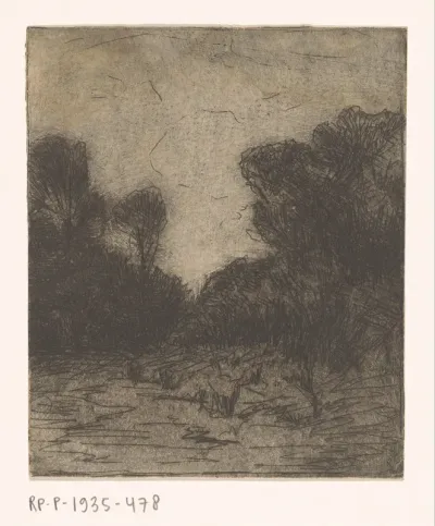 Landschap met bomen bij avond