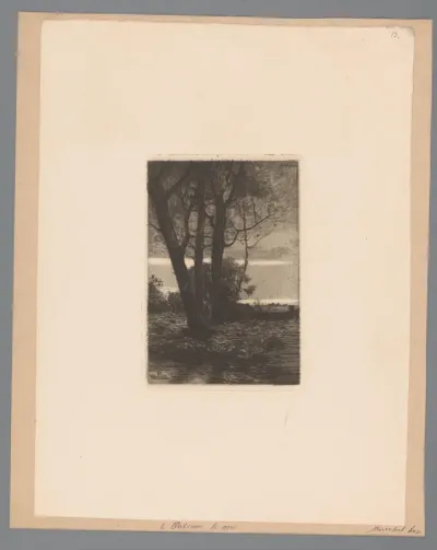 Landschap met bomen bij avond