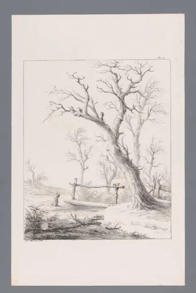 Landschap met bomen en brug