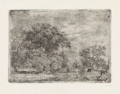 Landschap met bomen en drie grazende koeien