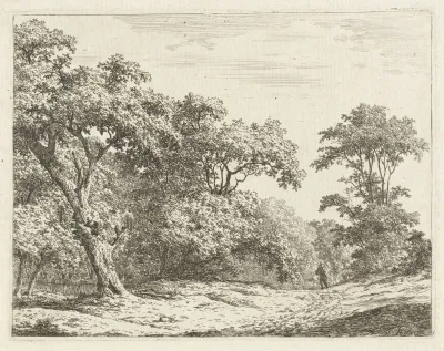 Landschap met bomen en een man op weg