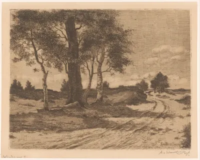 Landschap met bomen en hei