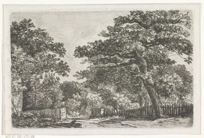 Landschap met bomen en hek