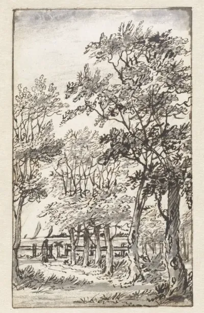 Landschap met bomen en in de verte water