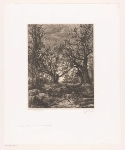 Landschap met bomen en moeras